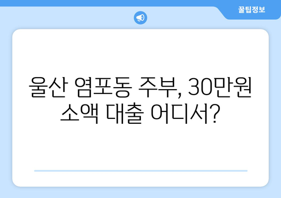 울산광역시 북구 염포동 주부 소액 30만원 대출