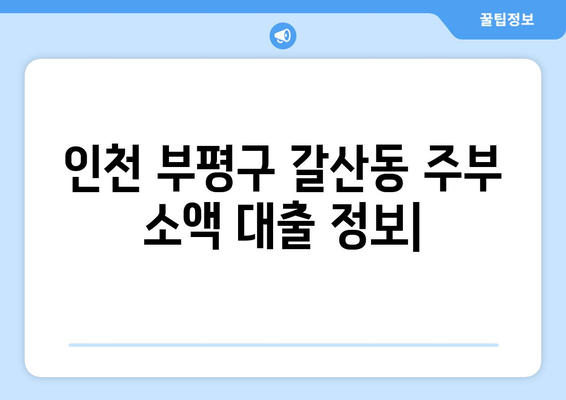 인천광역시 부평구 갈산동 주부 소액 30만원 대출