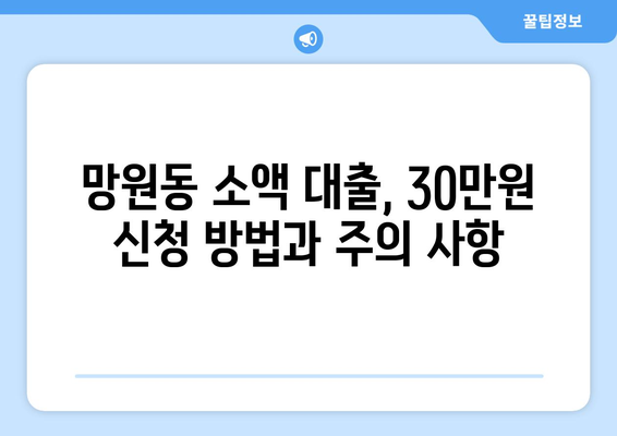 서울특별시 마포구 망원동 무직자 소액 30만원 대출