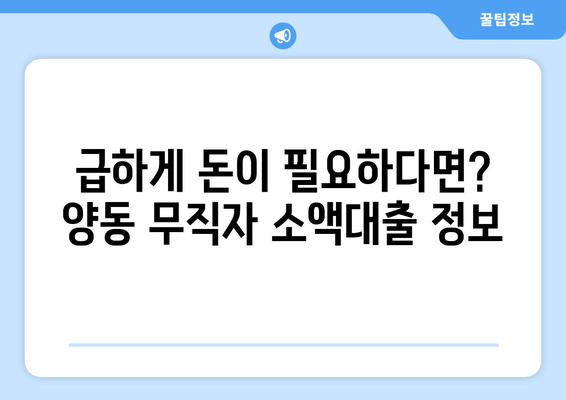 광주광역시 서구 양동 무직자 소액 30만원 대출