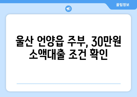 울산광역시 울주군 언양읍 주부 소액 30만원 대출