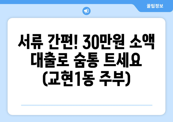 충청북도 충주시 교현1동 주부 소액 30만원 대출