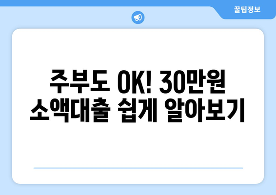 울산광역시 남구 야음동 주부 소액 30만원 대출