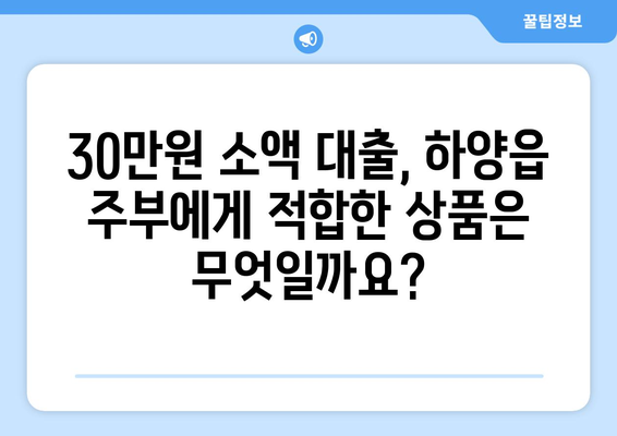 경상북도 경산시 하양읍 주부 소액 30만원 대출