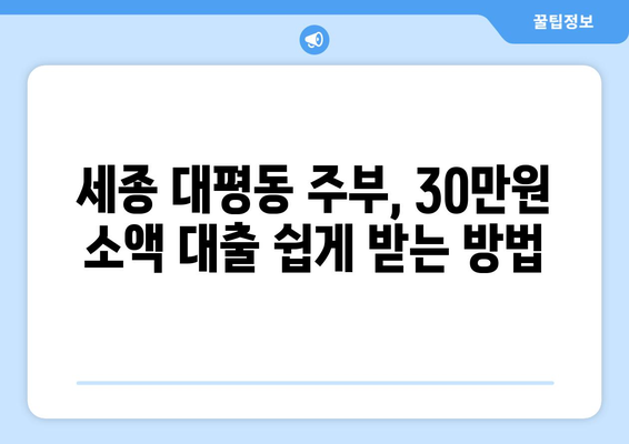 세종특별자치시 대평동 주부 소액 30만원 대출