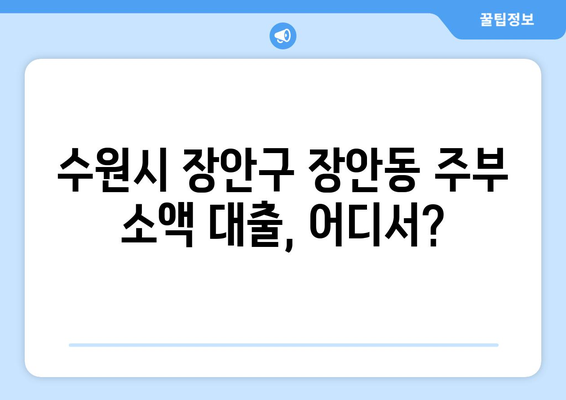 수원시 장안구 장안동 주부 소액 30만원 대출