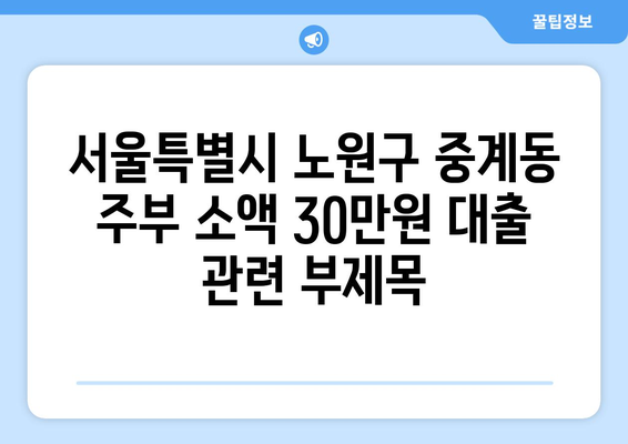 서울특별시 노원구 중계동 주부 소액 30만원 대출