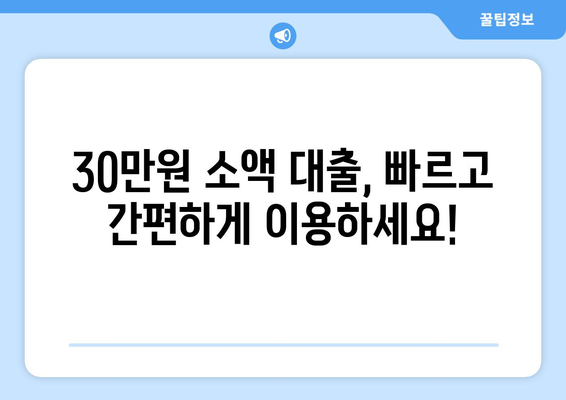 전라북도 덕진구 인후동 주부 소액 30만원 대출