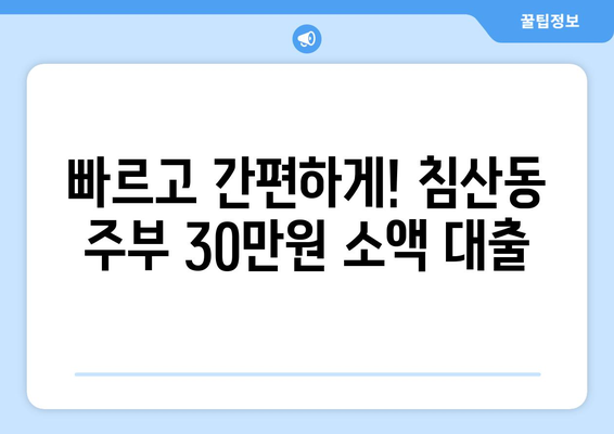 부산광역시 북구 침산동 주부 소액 30만원 대출