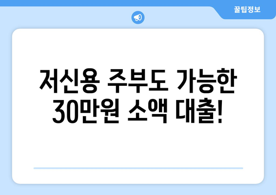 대전광역시 유성구 원신흥동 주부 소액 30만원 대출