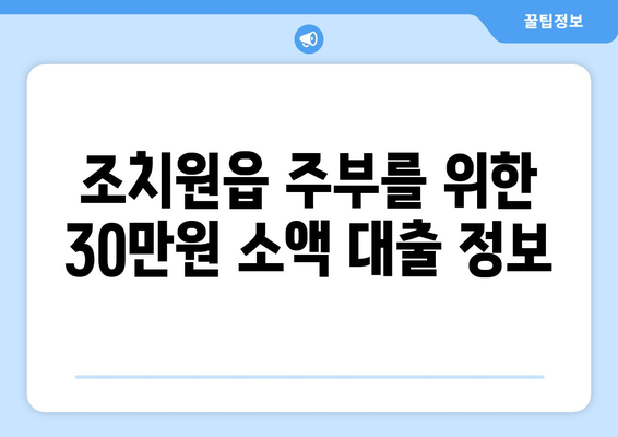 세종특별자치시 세종시 조치원읍 주부 소액 30만원 대출