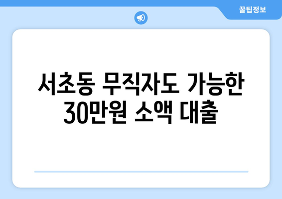 서울특별시 서초구 서초동 무직자 소액 30만원 대출